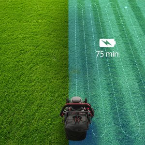 Kosiarka akumulatorowa Lehmann Kosiarka akumulatorowa Lehmann (51cm, 60L) 2