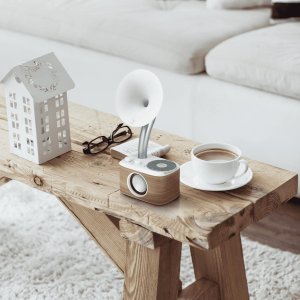 Radio Sangean Radioodbiornik Sangean Euphonic 450 WR-45 Biały 5