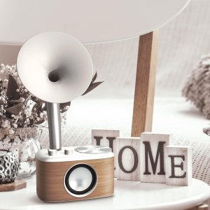 Radio Sangean Radioodbiornik Sangean Euphonic 450 WR-45 Biały 8