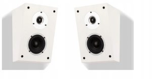 Kolumna Wilson Kolumny Głośniki Dolby Atmos Wilson RAPTOR X Białe 100W 83dB 2sztuki 3