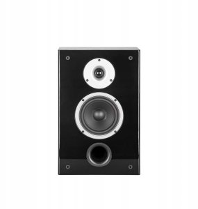 Kolumna Wilson Kolumny Głosniki naścienna Wilson Raptor On Wall Czarny Stereo Para 2szt. 2