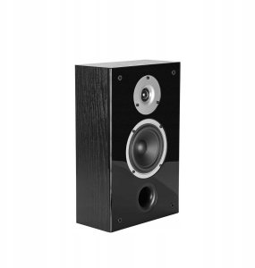 Kolumna Wilson Kolumny Głosniki naścienna Wilson Raptor On Wall Czarny Stereo Para 2szt. 6