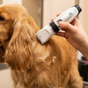 Maszynka do strzyżenia psa ACM CR 2848 Profesjonalna strzyżarka dla zwierząt z zapasową baterią CR 2848 8