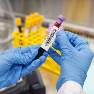 Brady Paper Labels for BBP33/i3300 3