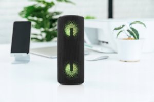 Głośnik JVC Głośnik mobilny JVC XS-E213G 8W IPX6 Szary 11