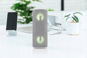 Głośnik JVC Głośnik mobilny JVC XS-E213G 8W IPX6 Szary 10