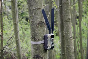 Kamera cyfrowa Luxury-Goods Kamera Leśna FOTOPUŁAPKA GPS 4.0CG MMS FILM LTE 4G 11