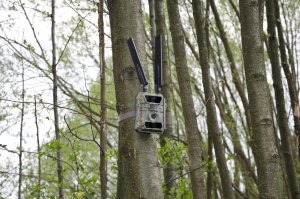 Kamera cyfrowa Luxury-Goods Kamera Leśna FOTOPUŁAPKA GPS 4.0CG MMS FILM LTE 4G 9