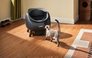Catlink Catlink Open X smart self-cleaning litter box (gray) 6