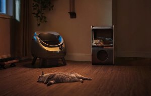 Catlink Catlink Open X smart self-cleaning litter box (gray) 9