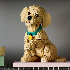 LEGO Icons Szczeniak golden retriever (11384) 2