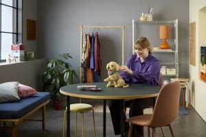 LEGO Icons Szczeniak golden retriever (11384) 4