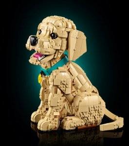 LEGO Icons Szczeniak golden retriever (11384) 5