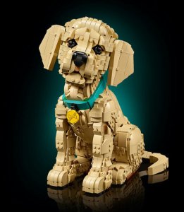 LEGO Icons Szczeniak golden retriever (11384) 6