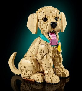 LEGO Icons Szczeniak golden retriever (11384) 7