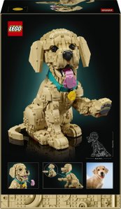LEGO Icons Szczeniak golden retriever (11384) 9
