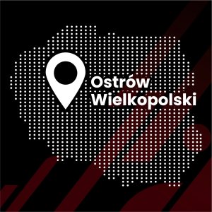 GrizzGlass Folia ochronna pod klamki BodyShield do Volkswagen Passat B8 Kombi (2014-2022) [4w1] 3