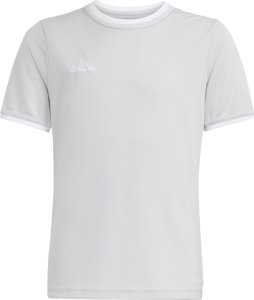 Adidas Koszulka dla dzieci adidas Entrada 26 Jersey szara JZ2525 164cm 2