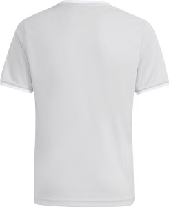 Adidas Koszulka dla dzieci adidas Entrada 26 Jersey szara JZ2525 164cm 3