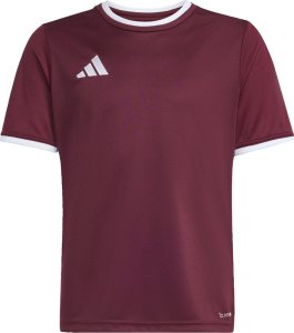 Adidas Koszulka dla dzieci adidas Entrada 26 Jersey bordowa JZ2530 140cm 2