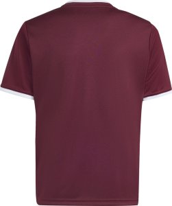 Adidas Koszulka dla dzieci adidas Entrada 26 Jersey bordowa JZ2530 140cm 3