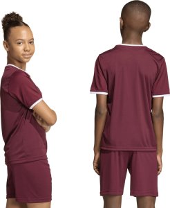 Adidas Koszulka dla dzieci adidas Entrada 26 Jersey bordowa JZ2530 140cm 4