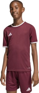 Adidas Koszulka dla dzieci adidas Entrada 26 Jersey bordowa JZ2530 140cm 5