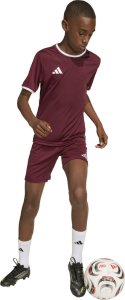 Adidas Koszulka dla dzieci adidas Entrada 26 Jersey bordowa JZ2530 140cm 9