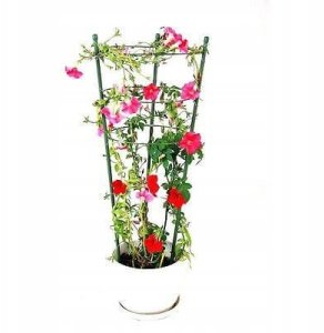 Kadax Podpora pierscieniowa do roslin 60 cm EDUKAMP 6