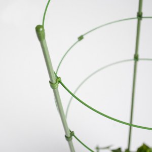 Kadax Podpora pierscieniowa do roslin 60 cm EDUKAMP 7