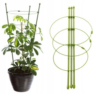 Kadax Podpora pierscieniowa do roslin 60 cm EDUKAMP 10