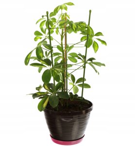 Kadax Podpora pierscieniowa do roslin 60 cm EDUKAMP 11