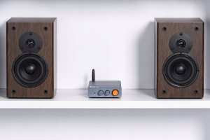 TP-Link Wzmacniacz Fosi Audio BT20A Pro 32vV (6976136960300) 4