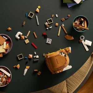 LEGO Ideas Rudy kot (21376) 4