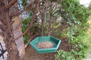 ProGarden Karmnik dla ptaków z poidłem 2 szt. PROGARDEN 449066 6
