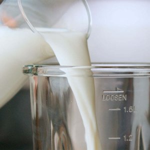 Blender Taurus Taurus JB1504XC OPTIMA GO 1500 9