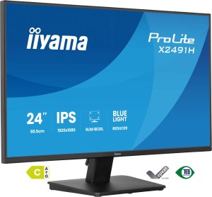 Monitor iiyama ProLite X2491H-B1 2