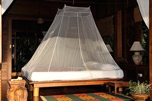 Cocoon Moskitiera dla dwóch osób Cocoon Travel Net Double, white 2