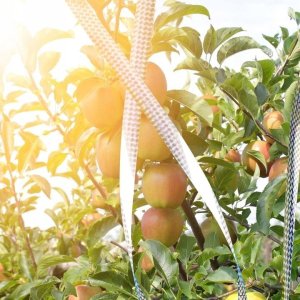 ATE B00_tds0455_taśma na ptaki - 2x 4