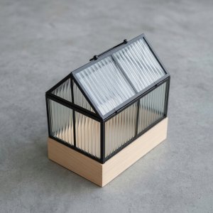 Edaxo Mini szklarnia z metalową ramą KALA, 30 x 26 x 18 cm 3