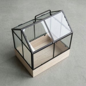Edaxo Mini szklarnia z metalową ramą KALA, 30 x 26 x 18 cm 5
