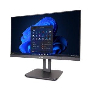 Komputer Wortmann AG TERRA ALL-IN-ONE-PC 2420HA V2 GREENLINE* 2