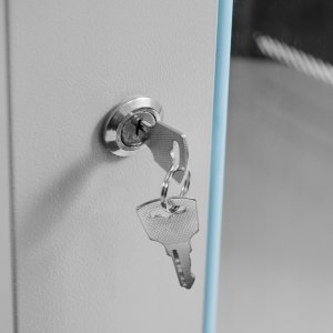 Szafa Netberg SZAFA RACK 19" 15U NETBERG Wisząca 600x600 mm Otwierane Boki 8