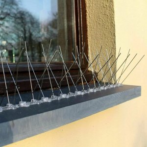 AVIK SZEROKIE KOLCE NA GOŁĘBIE PTAKI R180 40mb. 120szt. 14