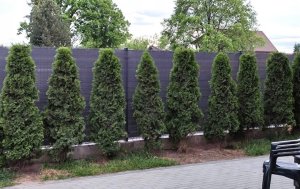 Cavatorta SIATKA CIENIUJĄCA 1x50m MASKUJĄCA 90% OSŁONA MATA NA OGRODZENIE PŁOT +UV 12