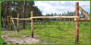 Cavatorta SIATKA LEŚNA ogrodzeniowa wys 220/26/15 M 50m MOCNA gęsta na DZIKA ŁOSIA 2