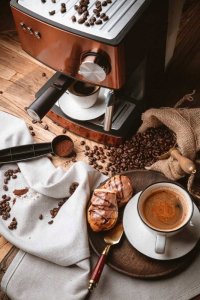 Ekspres ciśnieniowy Adler Ekspres do kawy Ciśnieniowy Kolbowy Miedziany Adler + Spieniacz mleka 14