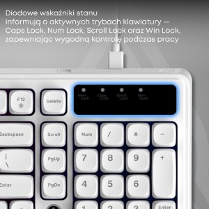 Klawiatura Ajazz AF98 White USB-C 8