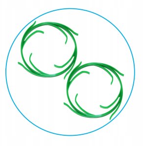 Aquafilter Filtr Wstępny 2 STOPNIOWY Zmiękczacz Mechaniczny Dom Korpus Filtry Wody 7