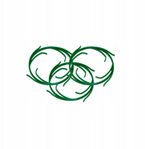 Aquafilter Stacja Uzdatniania Wody AQUAFILTER BIGBLUE HHBB10B Filtr na Cały Dom 10" 8